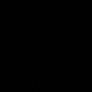 Meet your Posher, Oscar